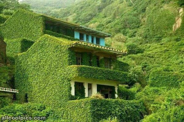 A Green House