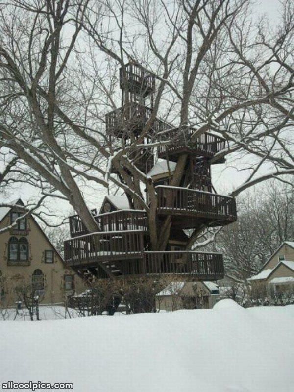 Advanced Tree House