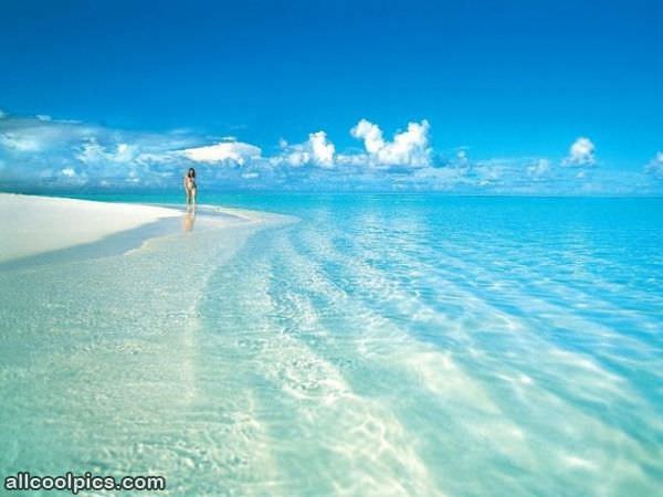 Amazing Beautiful Beach