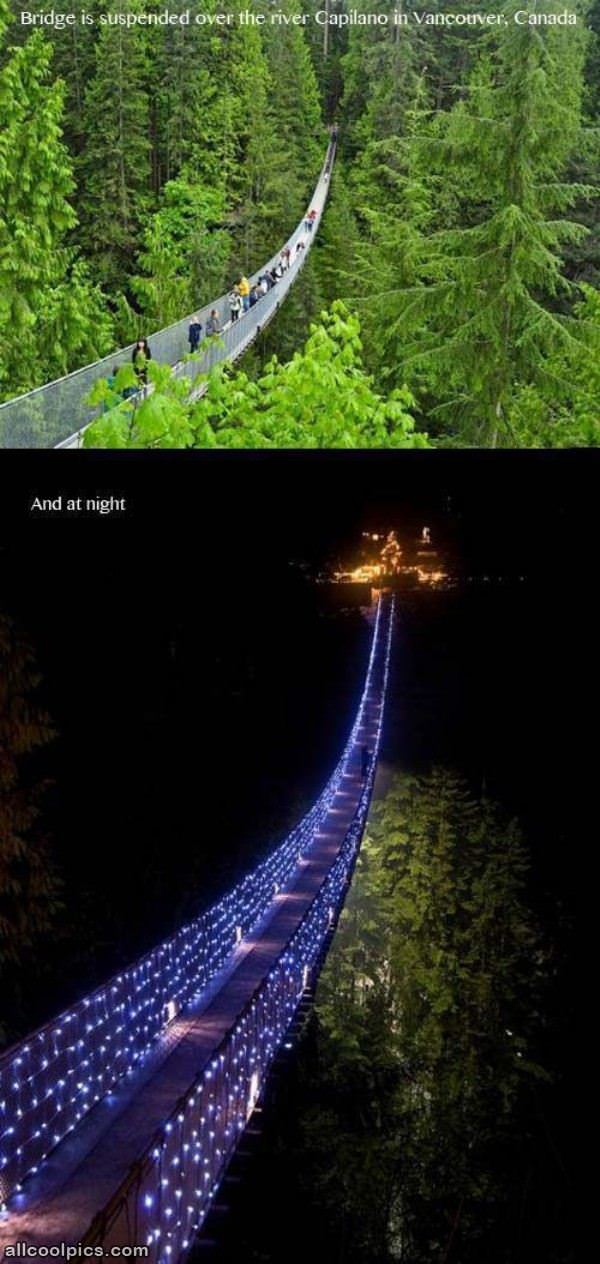 Amazing Bridge In Capilano Canada