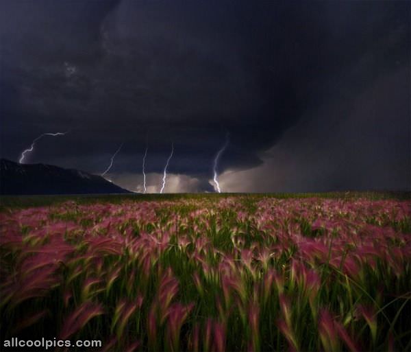 Amazing Lightning Pic