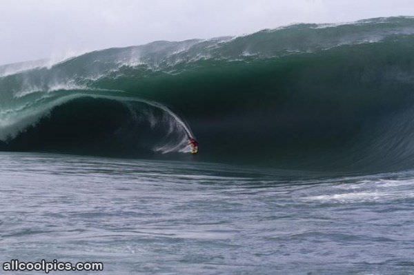 Amazing Wave To Surf