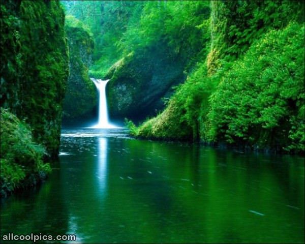 Beautiful Waterfall