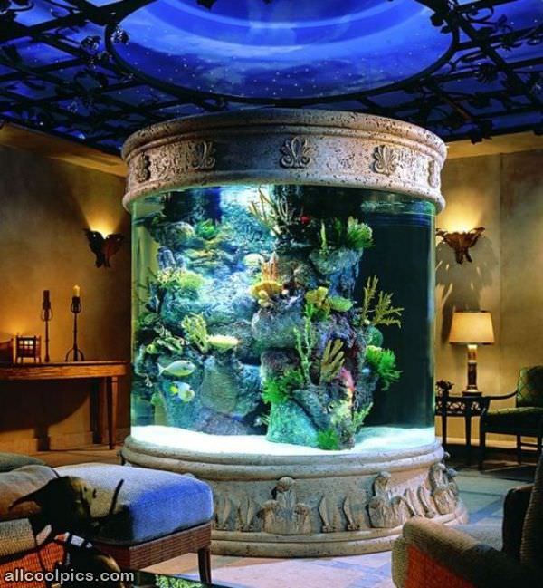 Cool Aquarium