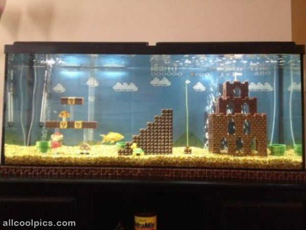 Cool Aquarium