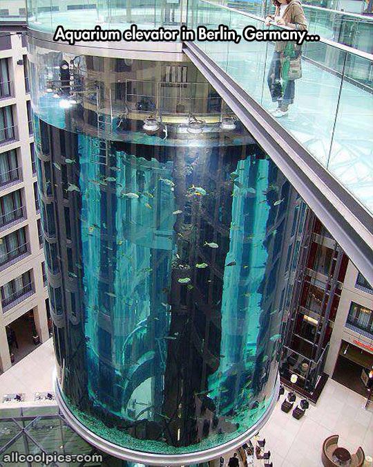 Cool Aquarium Elevator