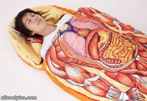 Cool Blanket