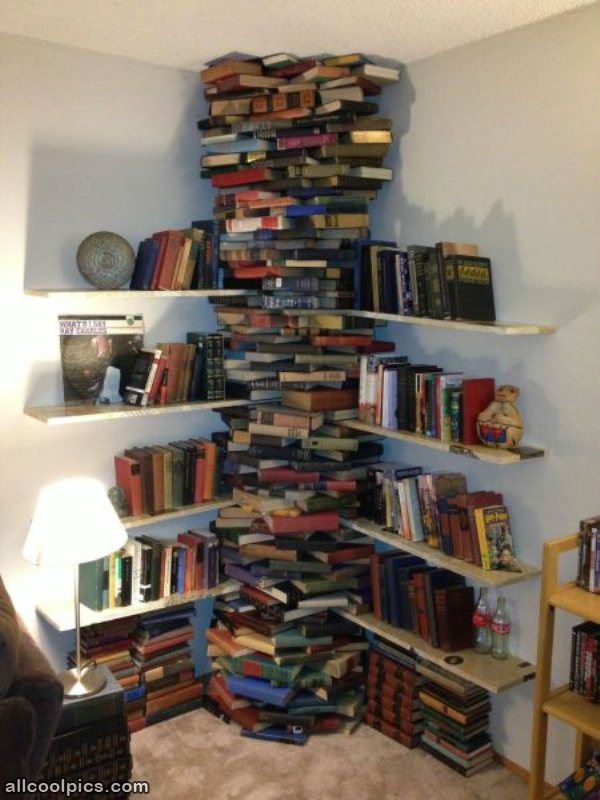 Cool Book Shelf