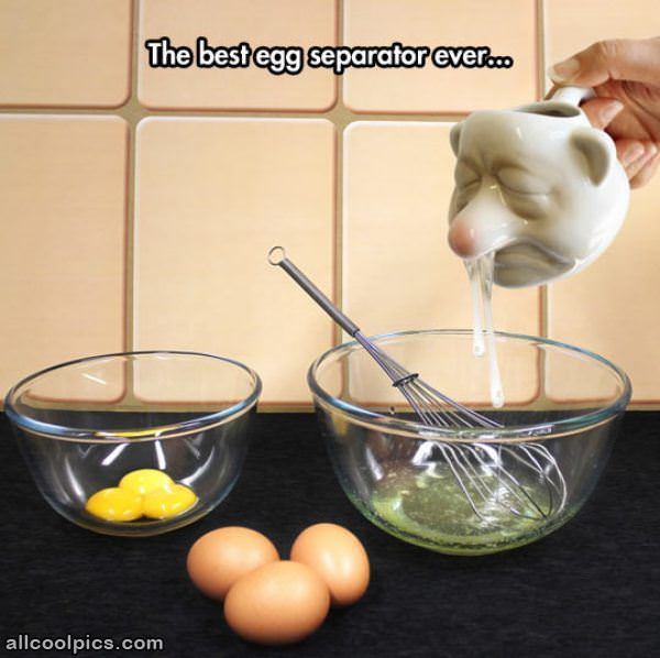 Cool Egg Separator