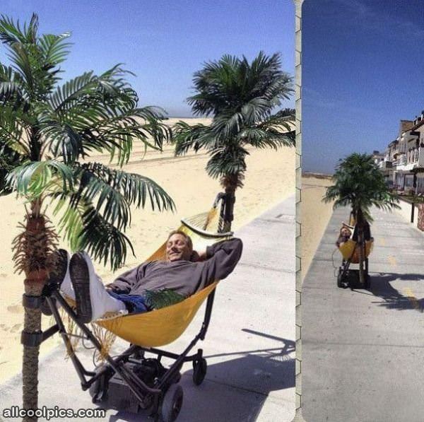 Cool Hammock Trees