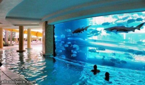 Cool Pool Aquarium