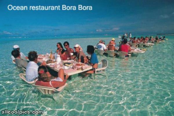 Cool Restaurant