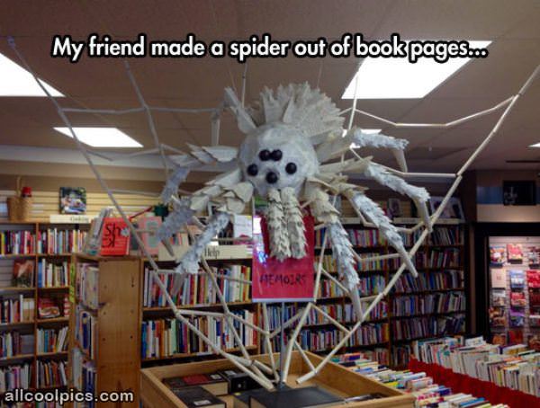 Cool Spider