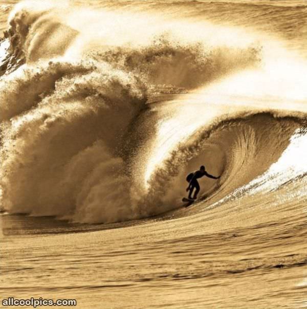 Cool Wave Surfer