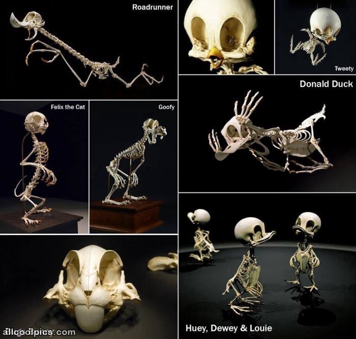 Disney Skelatons