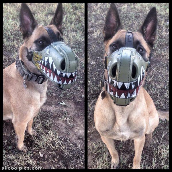 Dog Mask