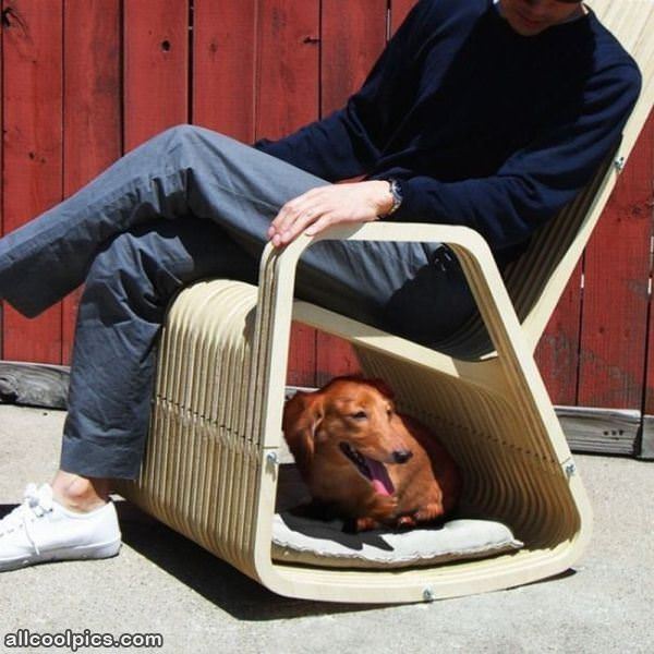 Dog Rocking Chair