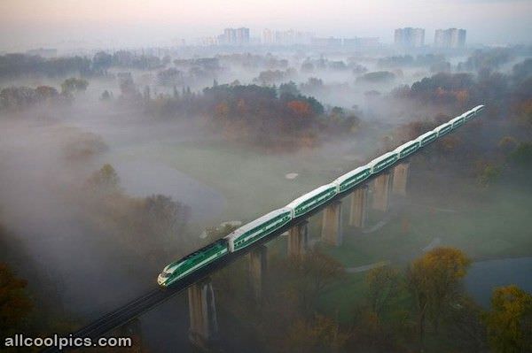 Elevated Train And Fog