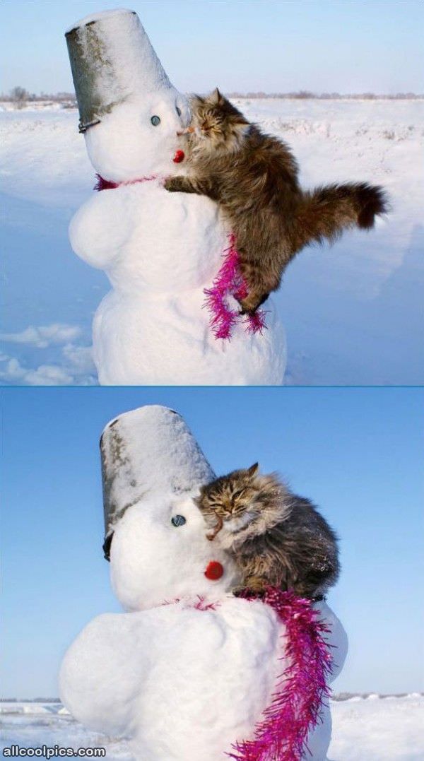 I Loves This Snowman