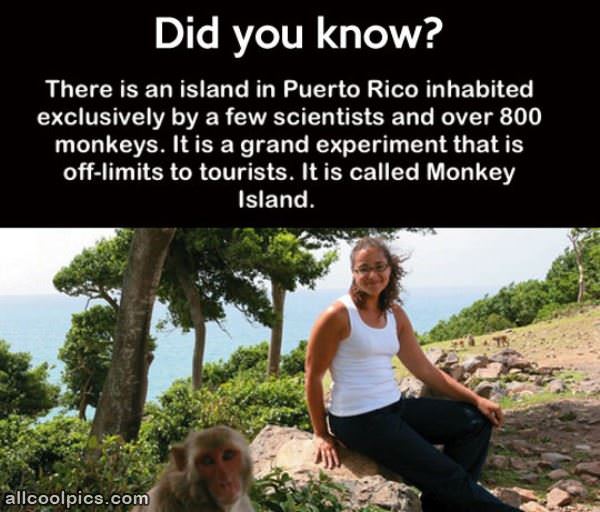 Monkey Island