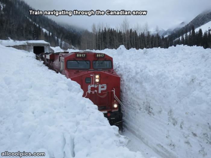 Navigating Through The Snow