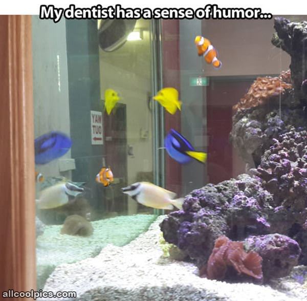 Nemo Aquarium