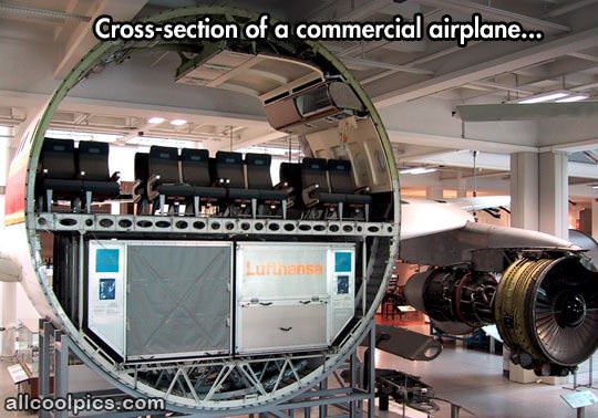 Plane Cross Section