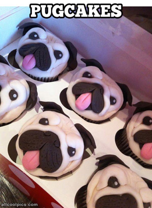 Pugcakes