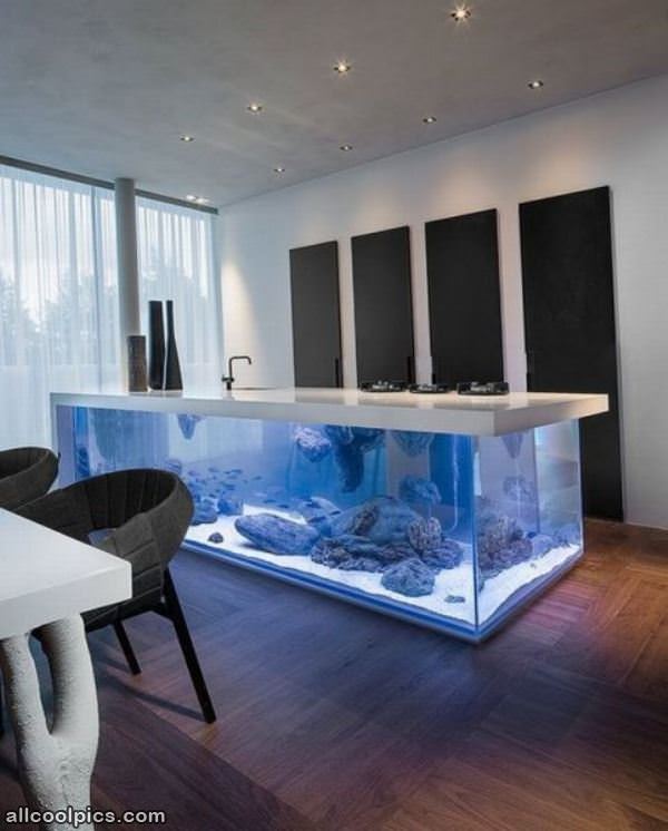 Really Cool Aquarium