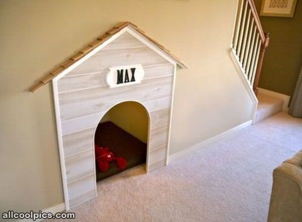 Really Cool Dog Fort