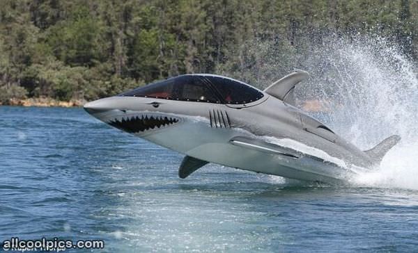 Shark Boat