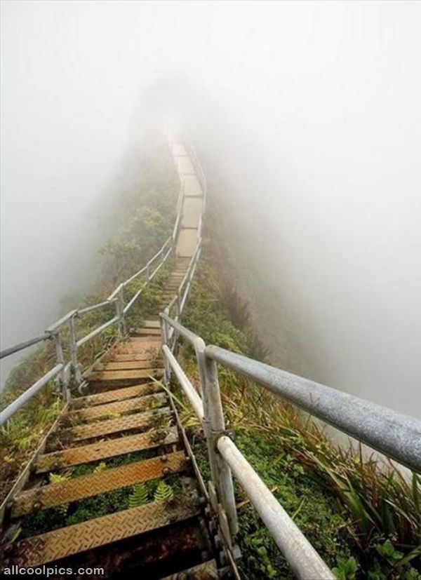 Super Foggy Steps