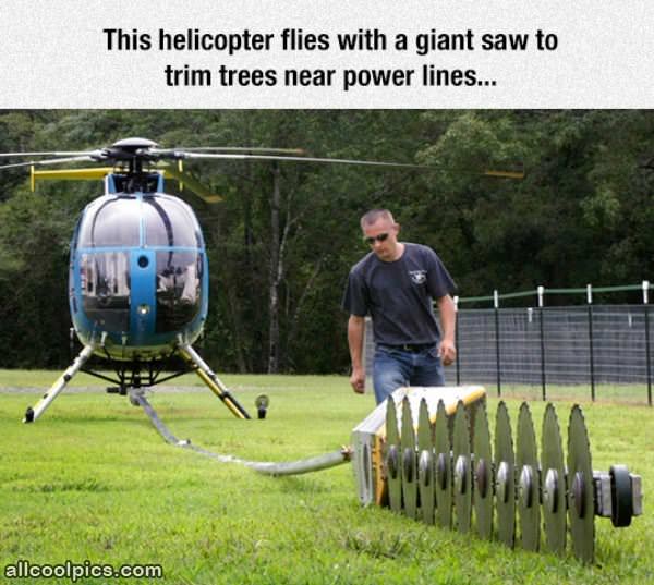 Tree Trimmer