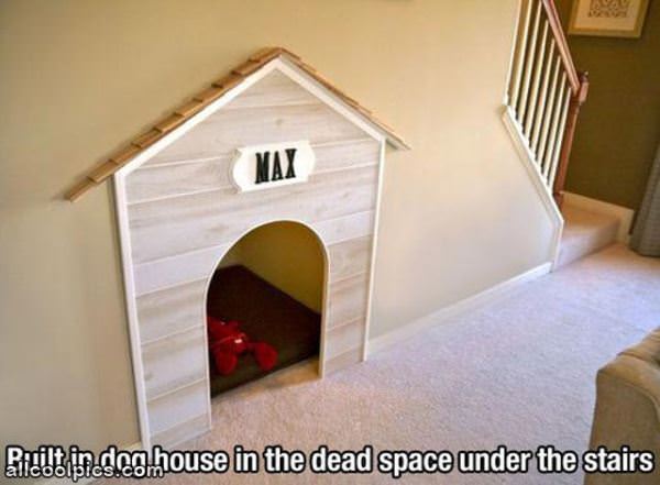 Very Cool Dog House