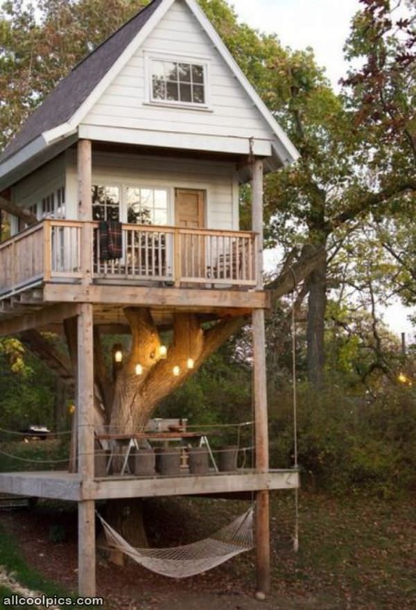 Wicked Tree House