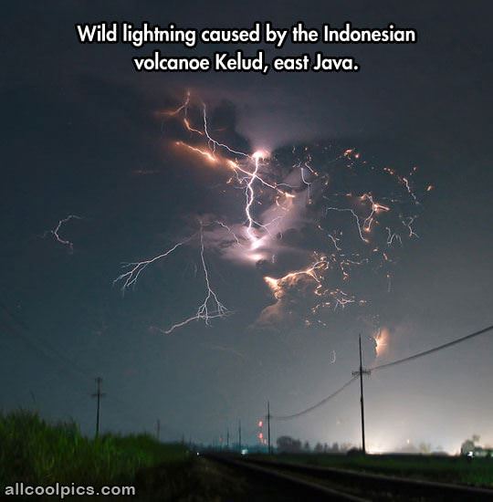 Wild Lightning